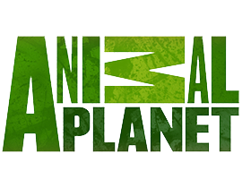 Placeholder Picture